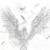 :iconmuhlestein1991: