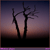 :iconmuhsen: