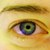 :iconmuhuhupenguin: