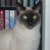 :iconmuirgen: