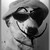 :iconmullac1992: