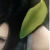 :iconmulti-pic-003: