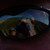 :iconmum47: