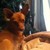 :iconmumbleray05: