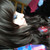 :iconmunchieart: