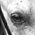 :iconmunchieness: