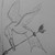 :iconmungojerriesbelle: