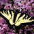 :iconmunhe: