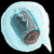 :iconmunkierevolution: