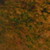 :iconmunkybrain2010: