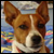 :iconmunted-trumpet: