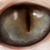 :iconmuoda-foka: