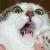 MurasakiSky :iconmurasakisky: