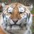 :iconmurasame-edge:
