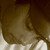 :iconmurilloobane: