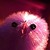 murknl :iconmurknl: