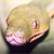 :iconmurkyshallows: