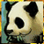 :iconmurnua: