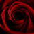 :iconmurphey651: