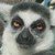 :iconmurphytp: