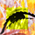 :iconmurphywi: