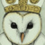 :iconmurraymullet: