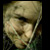 :iconmurrky: