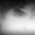 :iconmushab: