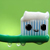 :iconmushiiip: