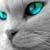 :iconmushomaru: