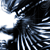 :iconmushr00m: