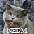 :iconmushroomx: