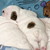 :iconmushtoon: