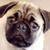 :iconmusic-gurl333: