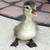 :iconmusic-is-life-3: