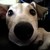 :iconmusic-is-ma-thing: