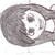 :iconmusic-luver2: