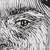:iconmusic-monster97: