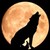 :iconmusical-wolfie: