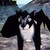 :iconmusicalferretart452: