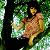 :iconmusicanocturna:
