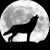 :iconmusicfeedsthespirit: