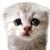 :iconmusicflutie14: