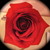 :iconmusicgirlakia12: