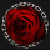 :iconmusicground: