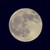 :iconmusicisliving: