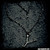 :iconmusiclove6288: