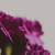 :iconmusiclovelifeyou: