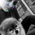 :iconmusicloverforever16: