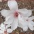 :iconmusiclvr42: